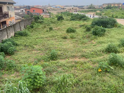 Residential Land — Swisspark Estate, Akowonjo, Alimosho, Lagos