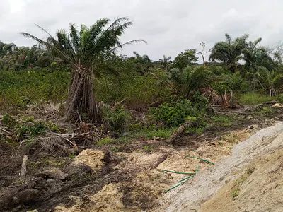 465 Hectares of Land — Ibeju Lekki, Lagos