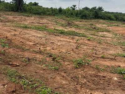 Own Prime Dry Land Today, Target ₦10M--₦12M Growth in 3 Years — 5 Min to Lagos Nysc Camp, Agbowa, Ikorodu, Lagos