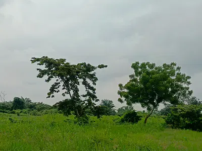 Acres of Land — Forthright, Berger, Arepo, Ogun