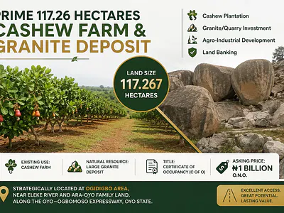 Prime 117.26 Hectares Cashew Farm & Granite Deposit — Ibadan, Oyo