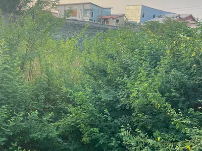 5674SQM Plot of Land on More Than Half a Hectare Is Ready — Mobolaji Bank Anthony Way, Ikeja, Lagos