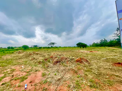 Buy and Build Property in Fast Growing Area C of O Title — Royal Garden Estate, RCCG Redemption City Camp, Christopher University, Mowe Ofada, Ogun
