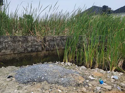 Standard 1 Plot of Land — Badore, Ajah, Lagos