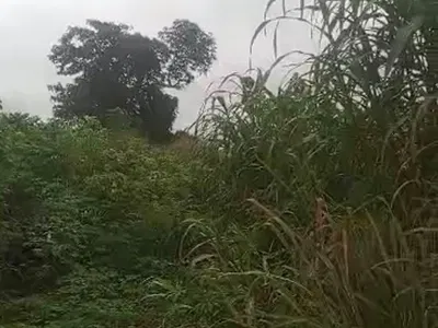 A Plot of Land 50FT by 120FT — Ukoni, Esan North-East, Edo