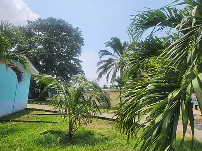 Strategic Acres of Land for JV and Sales — Near Passport Office, Ikoyi Lagos, Ikoyi, Lagos