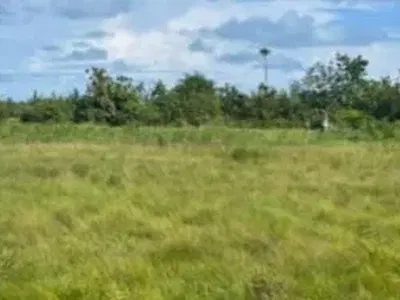 Plots of Land (an Acre) — Ode Omi, Ibeju Lekki, Lagos
