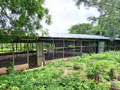 Land for Fish Farm and Pens — Omi Adio, Ibadan, Oyo