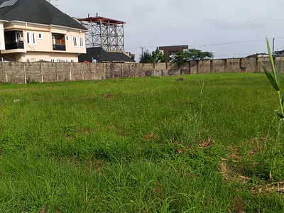 Prime 800 SQM Plot — Ikoyi, Lagos