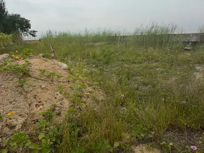Premium Waterfront Land — Banana Island, Ikoyi, Lagos