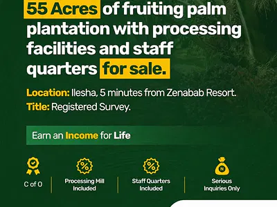 Fruiting Palm Plantation — Off Ijebu Jesha Road by Zenabab Resort, Ilesa East, Osun