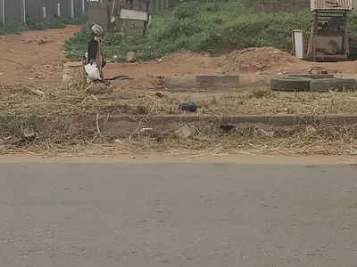 Half Plot of Land Measuring 25FT by 110FT by Major Road — Moore Junction, Abeokuta South, Ogun