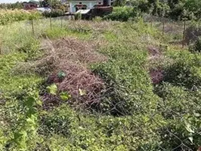 Bare Land Measuring 1418.301SQM — Martha's Vineyard Housing Estate Off Idoro Road, Uyo, Akwa Ibom
