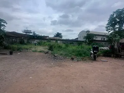 A Fenced and Gated Parcel of Land Measuring 1, 300 SQM — Town Planning Way, Ilupeju, Lagos