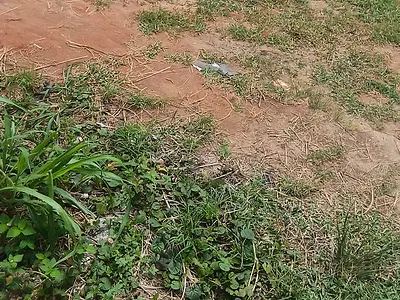 1000SQM Dry Land — Orange Island, Lekki Phase 1, Lekki, Lagos