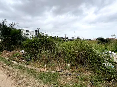 Prime 50, 000 SQM Land — Lekki, Lagos