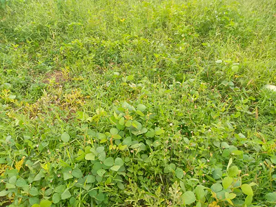 Residential Land — Kubwa, Abuja