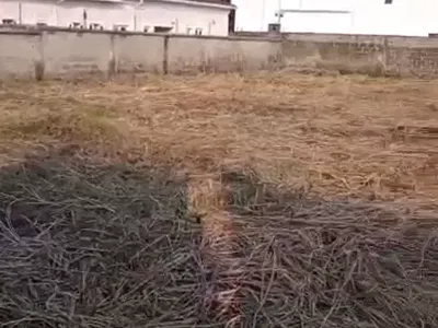 Land to Build in Songotedo Near Shoprite 2 Plots of Land — Lekki, Lagos