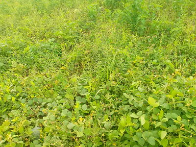 Residential Land — Fo1, Kubwa, Abuja