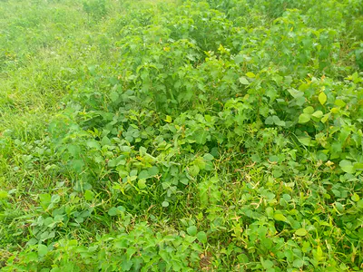600SQM. Residential Land — Kubwa, Abuja