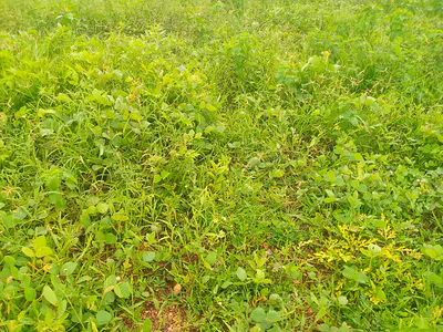 Residential Land, 600SQM — Fo1 Layout, Kubwa, Abuja