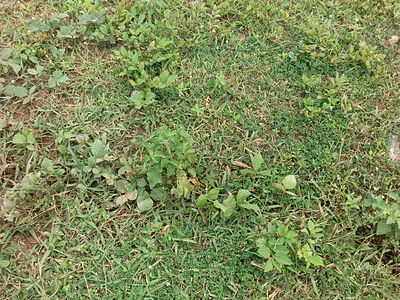 536SQM. Residential Land — Fo1 Layout, Kubwa, Abuja