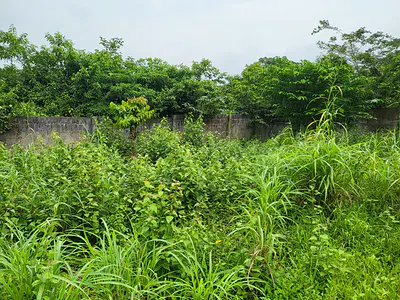 Large Mixed-Use Land — Imota, Ikorodu, Lagos