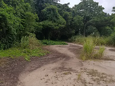 72 Hectares of Land at Agbowa Along Ketu Epe Expressway Lagos — Epe, Lagos