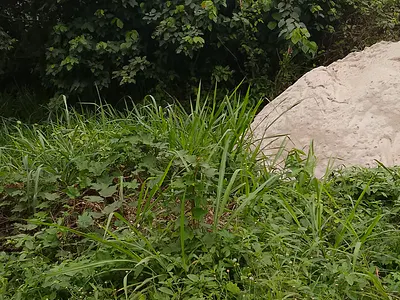 Residential Land Plot — Redeemed Church Old Auditorium, Mowe Ofada, Ogun