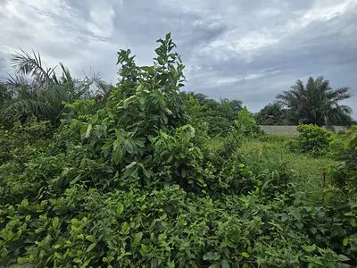 Dry Strategically Located Land — Lekki, Lagos