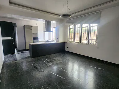 Serviced 2 Bedroom Flat with BQ — Ikoyi, Lagos