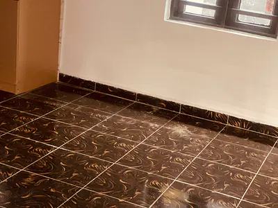 Decent and Modern Mini Flat — Ikeja, Lagos