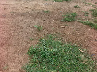 3 Hectares of Farmland — By Pegi Primary School, Kuje, Abuja