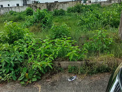 600SQM of Buy and Build Landin a Serene Estate — Ibeju Lekki, Lagos