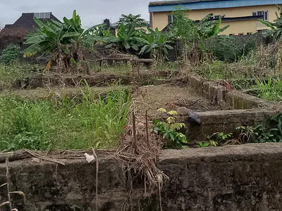 2 Plots of Land — Alfred Williams Avenue, Ifako-Ijaiye, Lagos