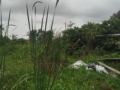 972SQM Cornerpiece Land — Lekki, Lagos