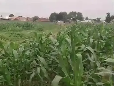 19 Hectares of Land — Karsana North, Karsana, Abuja