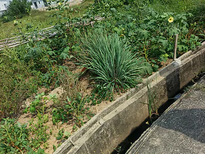 1878 SQM of Land in a Developed Neighborhood — Glover Road, Ikoyi, Lagos