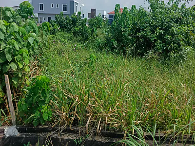 765SQM of Land in a Call to Access Estate — Ajah, Lagos