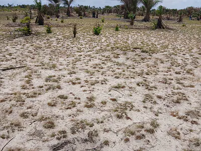 3 Plots of Land — Heaven’s Paradise Estate, Ibeju Lekki, Lagos