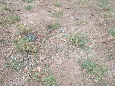 33 Hectares Residential Land — Maitama 2, Maitama District, Abuja