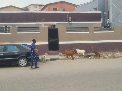 Newly Built Spacious Studio Apartment — Yetunde Brown, Ifako, Gbagada, Lagos