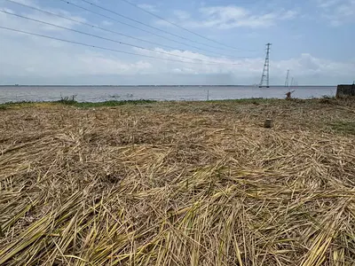 Standard 4 Plot of Residential Land Measuring 2398 SQM — Ajah, Lagos