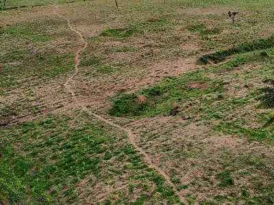 Bulk Land for Agriculture — Lagos Abeokuta Expressway, Obada Oko, Abeokuta South, Ogun