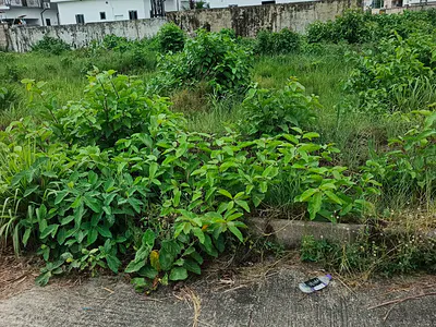 312SQM of Buy and Build Land — Ikoyi, Lagos