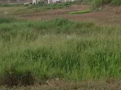 6000SQM Commeecial Not Specify Plot — Behind Naf Conference Centre, Kado, Abuja