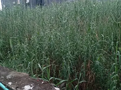 2 Plots of Estate Land — Orchid Road, Lekki Phase 2, Lekki, Lagos