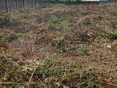 Standard 3 Plots of Land — Ojurin, Akobo, Ibadan, Oyo