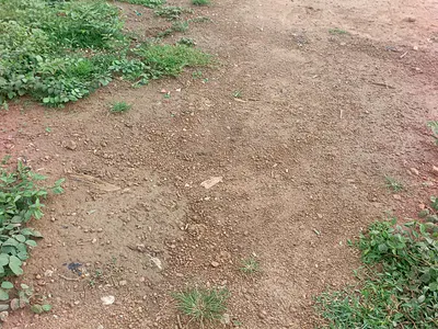 Residential Land, 1150SQM — Kaura, Abuja