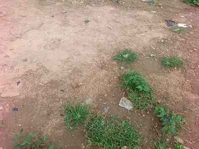 Residential Land, 1150SQM — Medical Centre, Kaura, Abuja